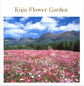 Kuju Flower Garden