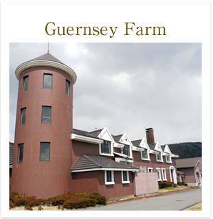 Guernsey Farm