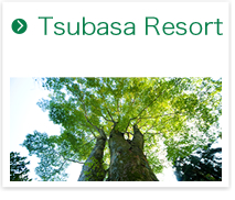 Tsubasa Resort