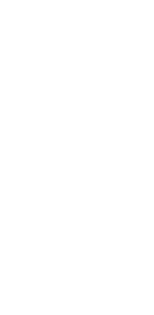 うさぎ