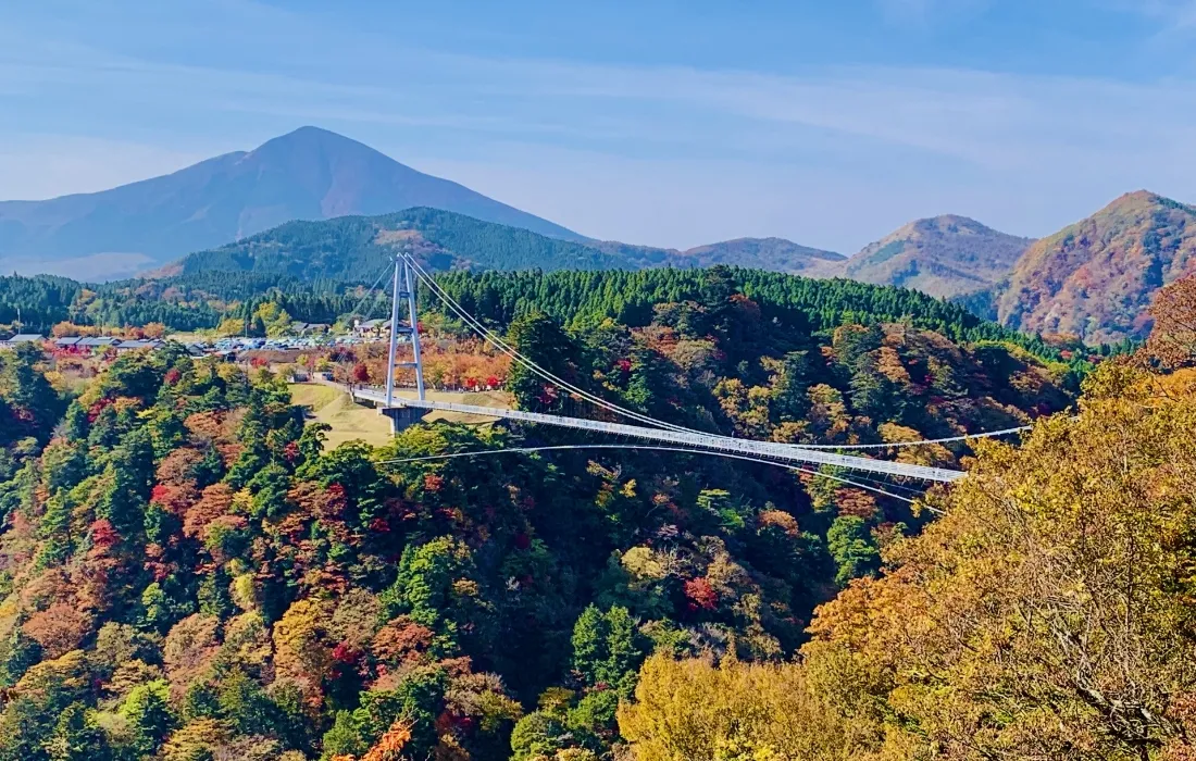 九重”夢”大吊橋