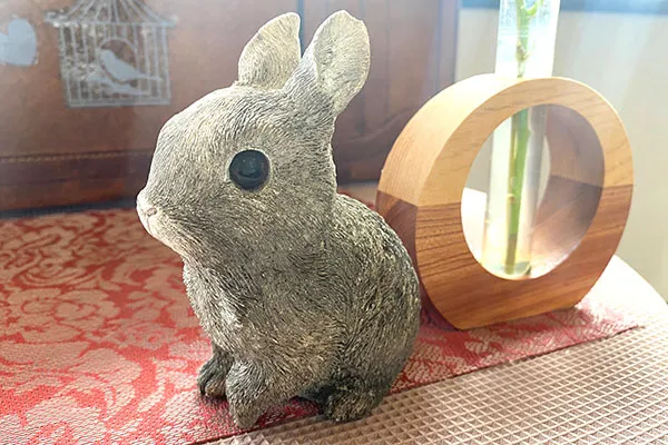 どこかに隠れた「ほしみちゃん」